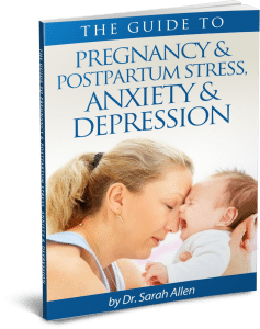 THE GUIDE TO PREGNANCY & POSTPARTUM STRESS, ANXIETY & DEPRESSION ebook